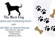 The Black Dog Mashpee Adoption en Boston