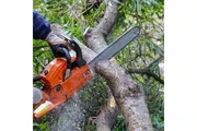 Tree Services thumbnail