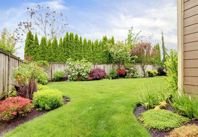 Landscaping service(jardinero) image 1