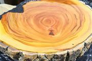 troncos de  madera naturales thumbnail