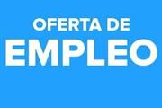 Está buscando empleo