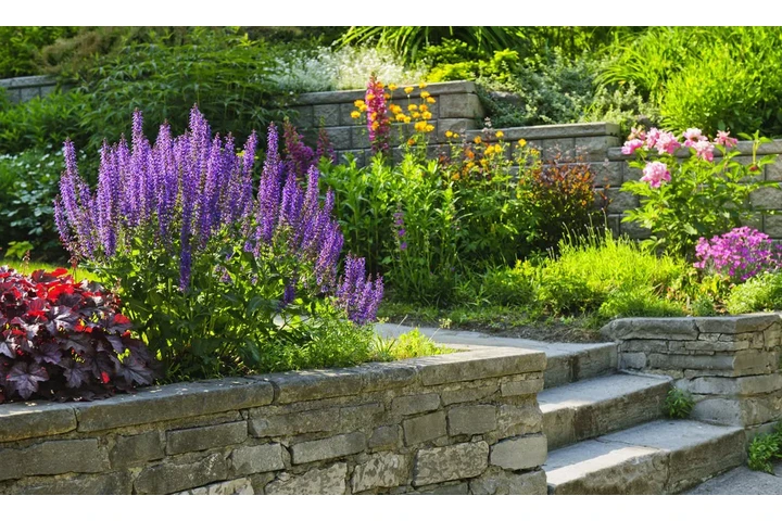 Transforma tu jardín image 1