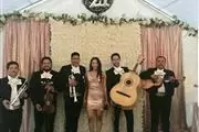 Alegria Mariachi Desde $240