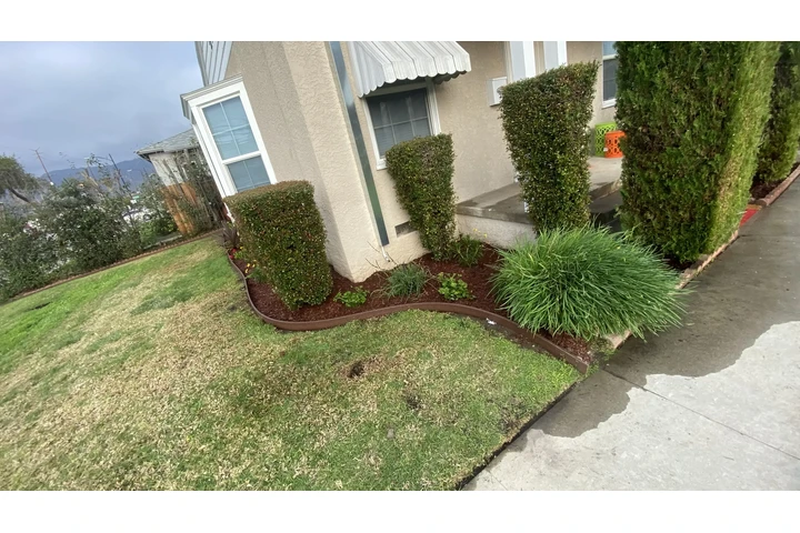 Servicio de jardinería image 8