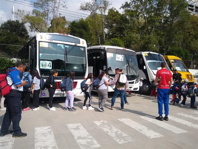 Transportes Escolares Alvarado image 3