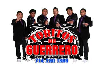 Toritos De Guerrero image 2
