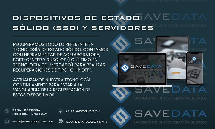 SAVEDATA-RECUPERACION DE DATOS image 1