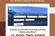 Google Flight for Cheap Flight en Los Angeles