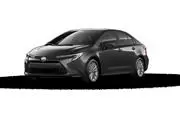 Corolla Hybrid Hybrid XLE en Kings County