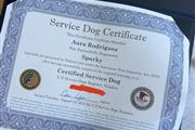 $350 : CERTIFICADO SERVICE DOG thumbnail