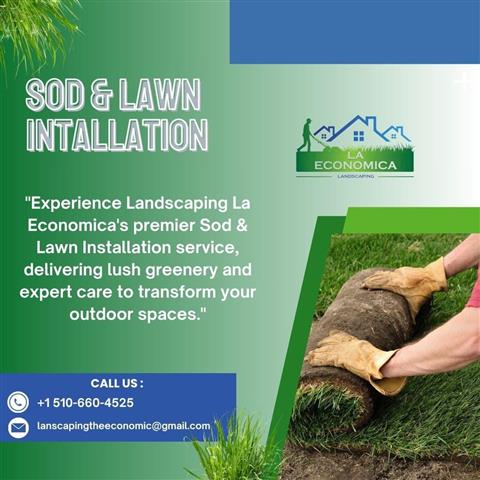 Sod installation image 1