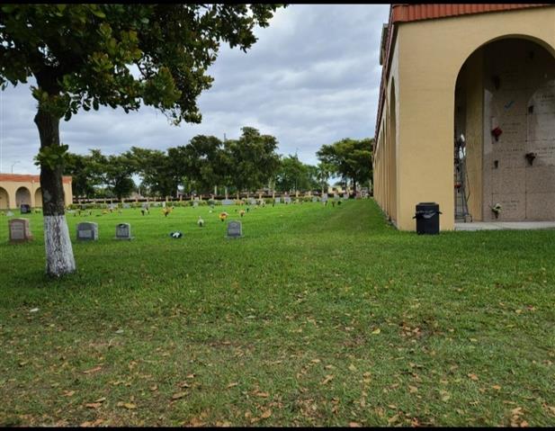 Lote de Cementerio Graceland S image 2