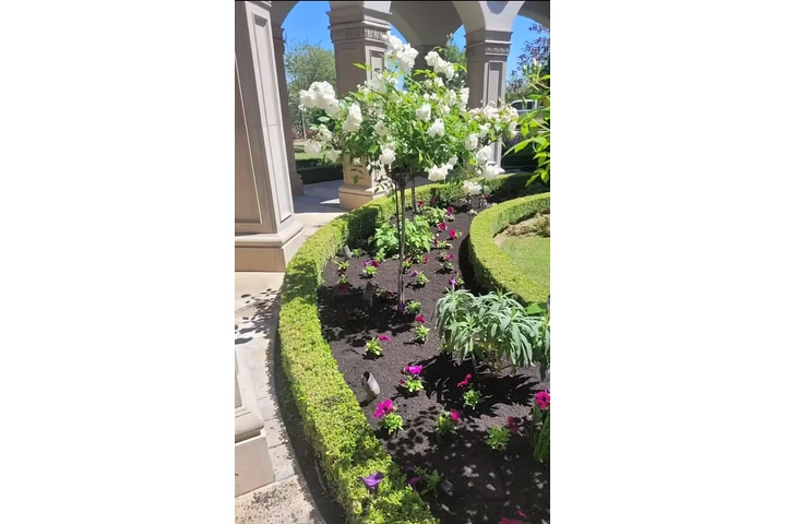 Tree service image 1