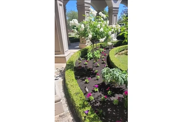 Tree service en Los Angeles