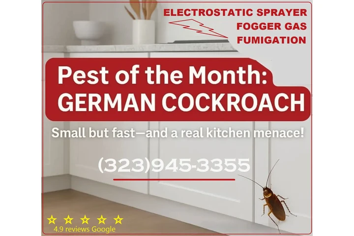 FUMIGACIONES SANTA ANA 24/7.- image 7