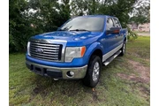 2010 F-150