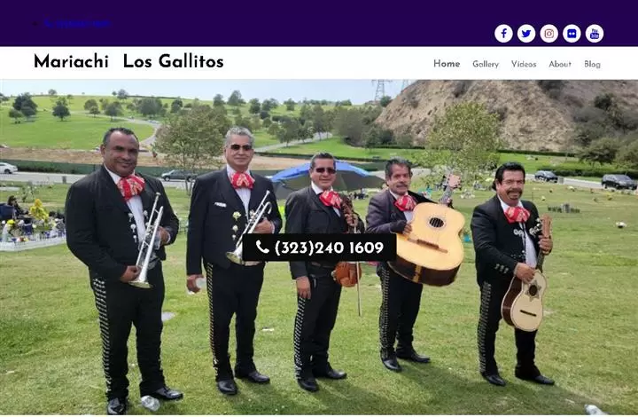 Mariachi Los Gallitos image 1