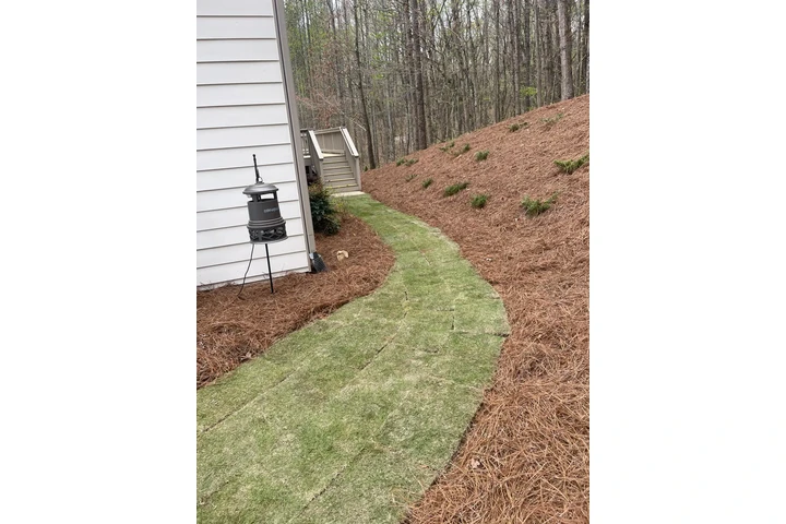 🌲LANDSCAPING SERVICES🌲 image 7