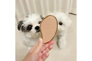 $400 : Gorgeous Malteses Puppies thumbnail