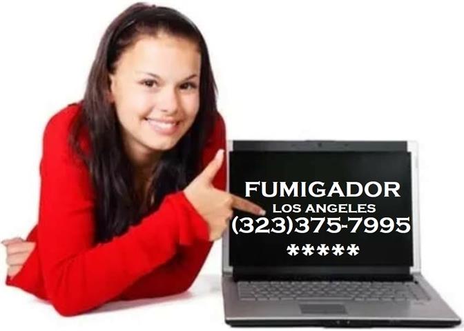 FUMIGADORES PROFESIONALES 24/7 image 9