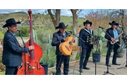 Grupo Norteño en Santa Ana CA en Orange County