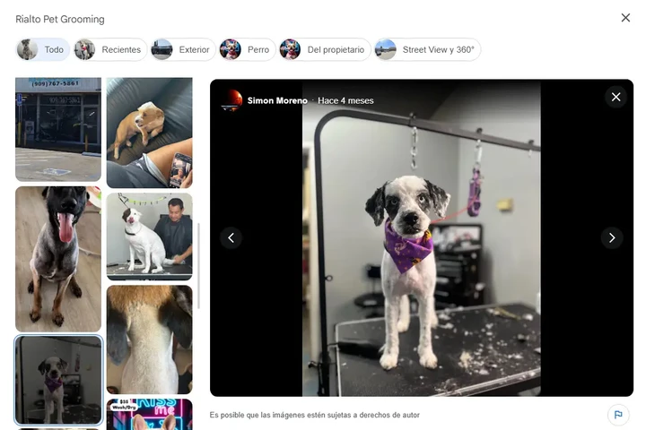 Rilato Pet Grooming image 9