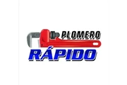 PLOMERIA EN GENERAL thumbnail