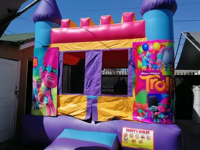 Party Rental image 2