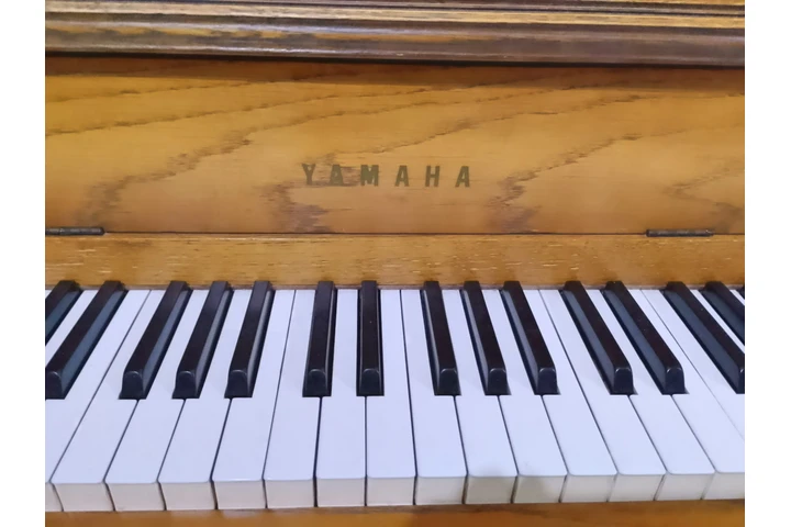 Pianos seminuevos en Monterrey image 10
