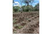 Terreno en Fraijanes, Guatemal en Los Angeles