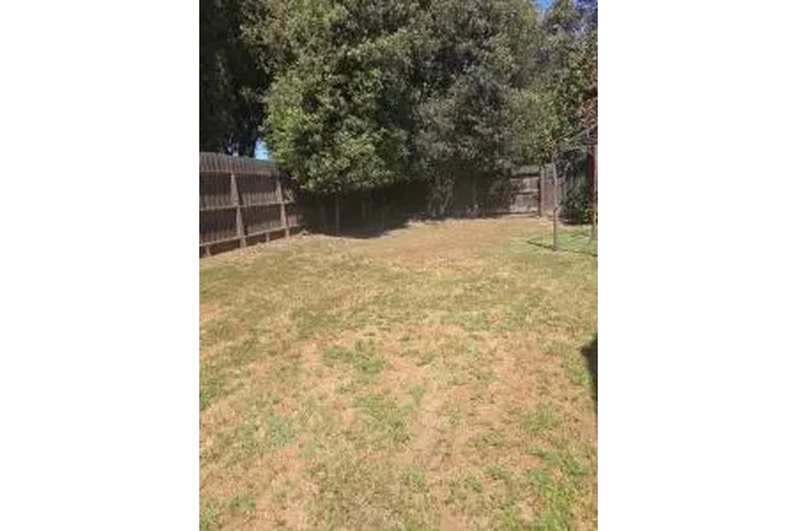 LIMPIEZA PROFESIONAL image 8