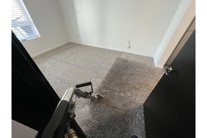 Carpet Cleaning image 5