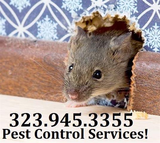 RODENT CONTROL (323)945-3355 image 5