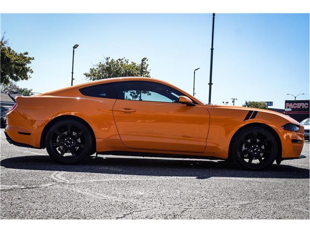 2019 Ford Mustang EcoBoost image 4