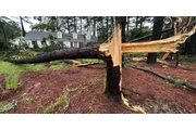 Your Yard, Our Expertise! thumbnail