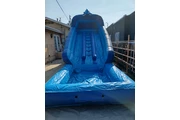 WATER SLIDES CARPAS thumbnail