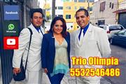trios musicales CDMX en Mexico DF