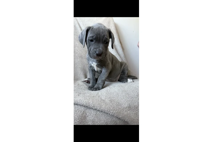 $340 : 2 gorgeous girls left image 2