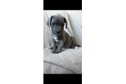 $340 : 2 gorgeous girls left thumbnail