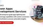 US Based Power Apps Developers