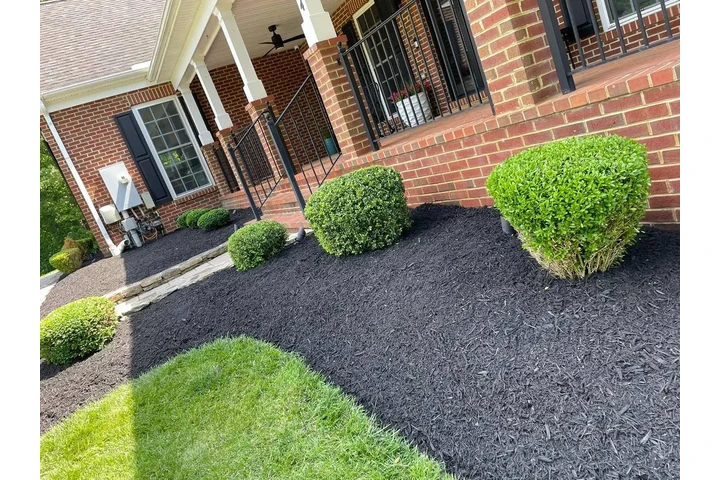 🍂HIDALGO LANDSCAPING🍂 image 10