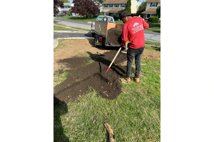 Servicio de Tree service image 4