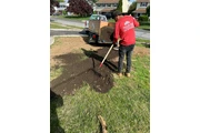 Servicio de Tree service thumbnail