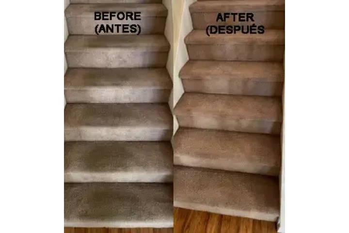 🌿💨 Limpieza Antiácaros image 2