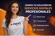 Diseño Web Profesional en Buenos Aires
