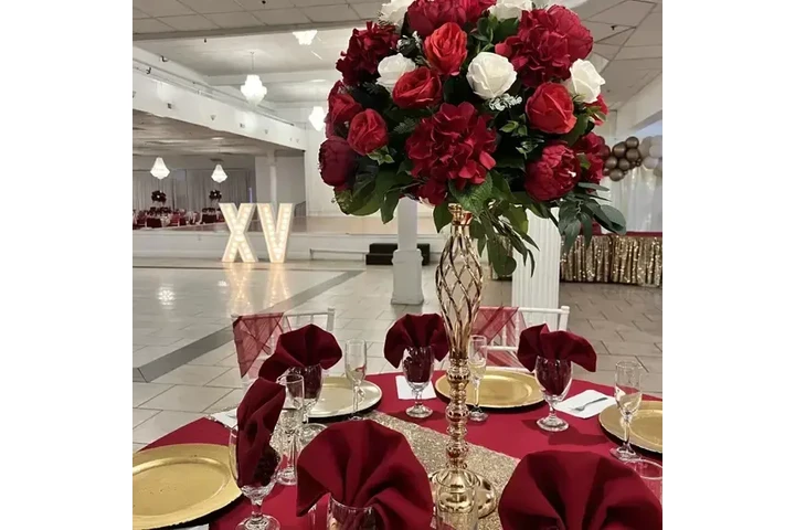 Hermoso Salón para Fiestas🕺 image 6