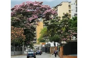 ¡SI! LOS RUICES HABITACIÓN CCS en Caracas