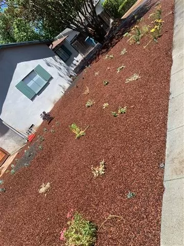 Leon Gardening Services image 3