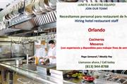 Cook/Bussers/Runner en Orlando en Orlando