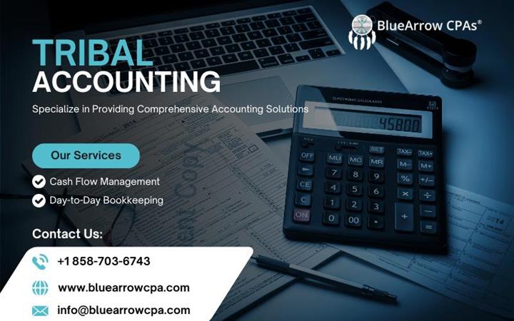 Expert Tribal Accounting | BAI image 1